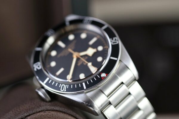 Tudor Black Bay 79230N - 2017 – Image 11