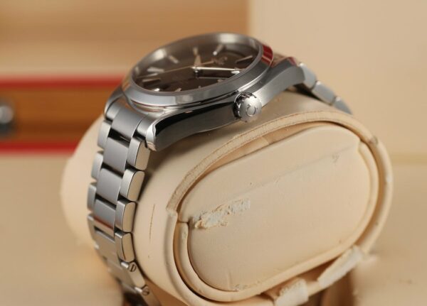 Omega Seamaster Aqua Terra 150M Co-Axial Master Chronometer GMT Worldtimer – Image 6